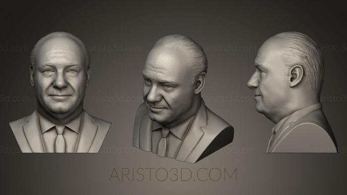 Busts and bas-reliefs of famous people (BUSTC_0618) 3D model for CNC machine